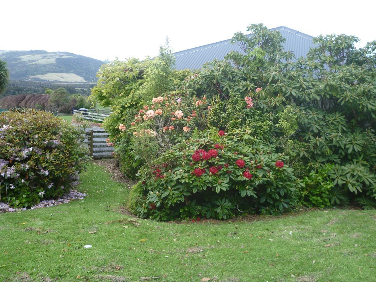 Hilltop Accommodation Catlins Papatowai Zewnętrze zdjęcie